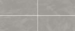 Vanilla - immagine 8